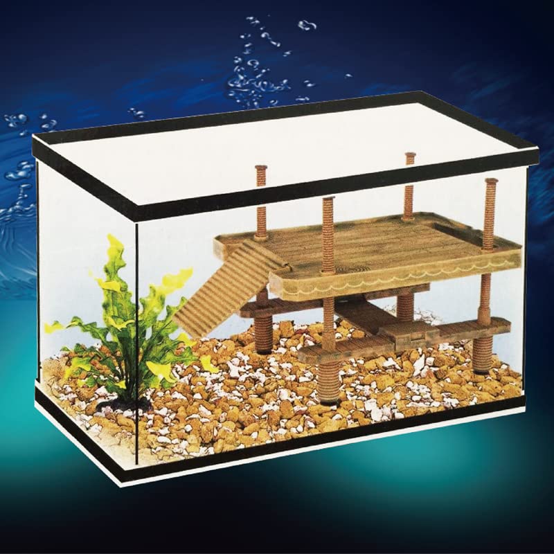 TEMU-SC zona-sol-tortuga favorece exposición solar y bienestar diario