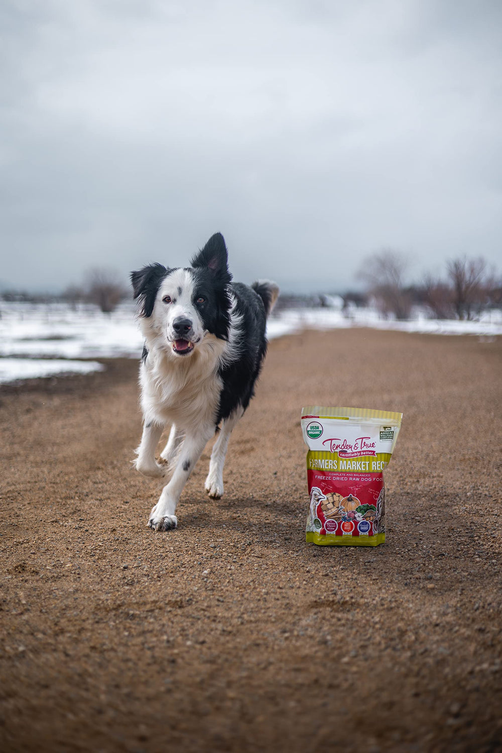 Tender & True Alimento crudo liofilizado para perros, sabor natural