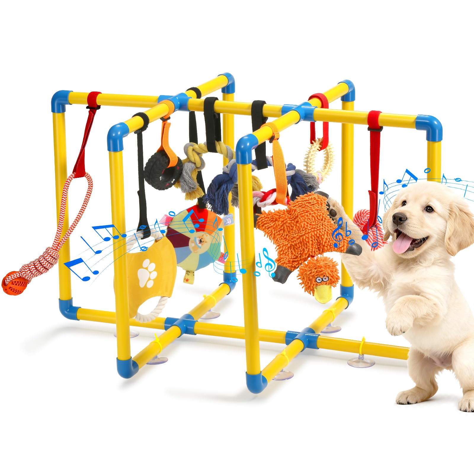 Gimnasio Tengantongda para cachorro con montaje fácil y estable.