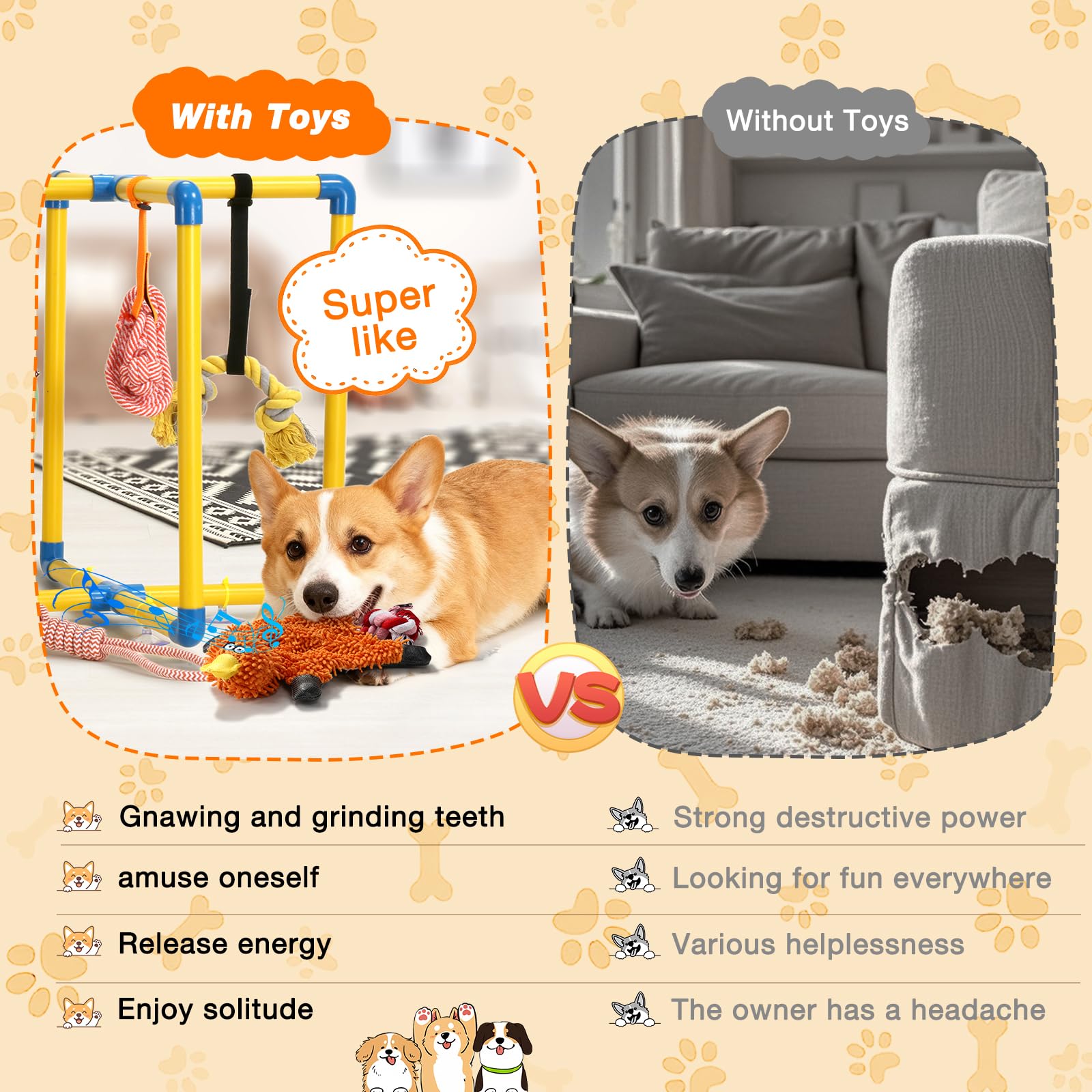 Uso en interiores del gimnasio Tengantongda para perros pequeños.