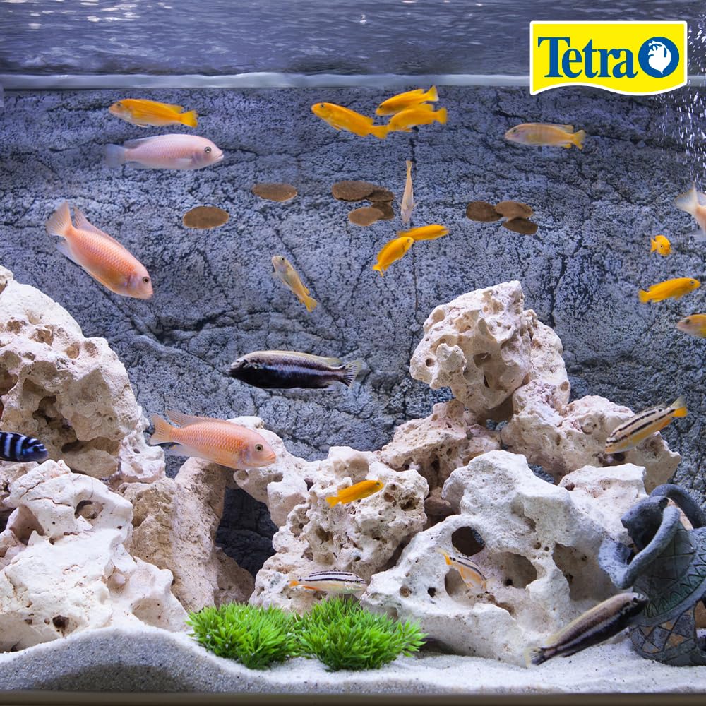 Tetra Cichlid Crisps, forma uniforme para una ración constante y fácil de administrar.