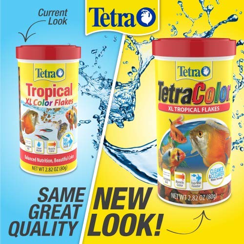 Nutrición equilibrada diaria con TetraColor Tropical Flakes para acuario saludable.