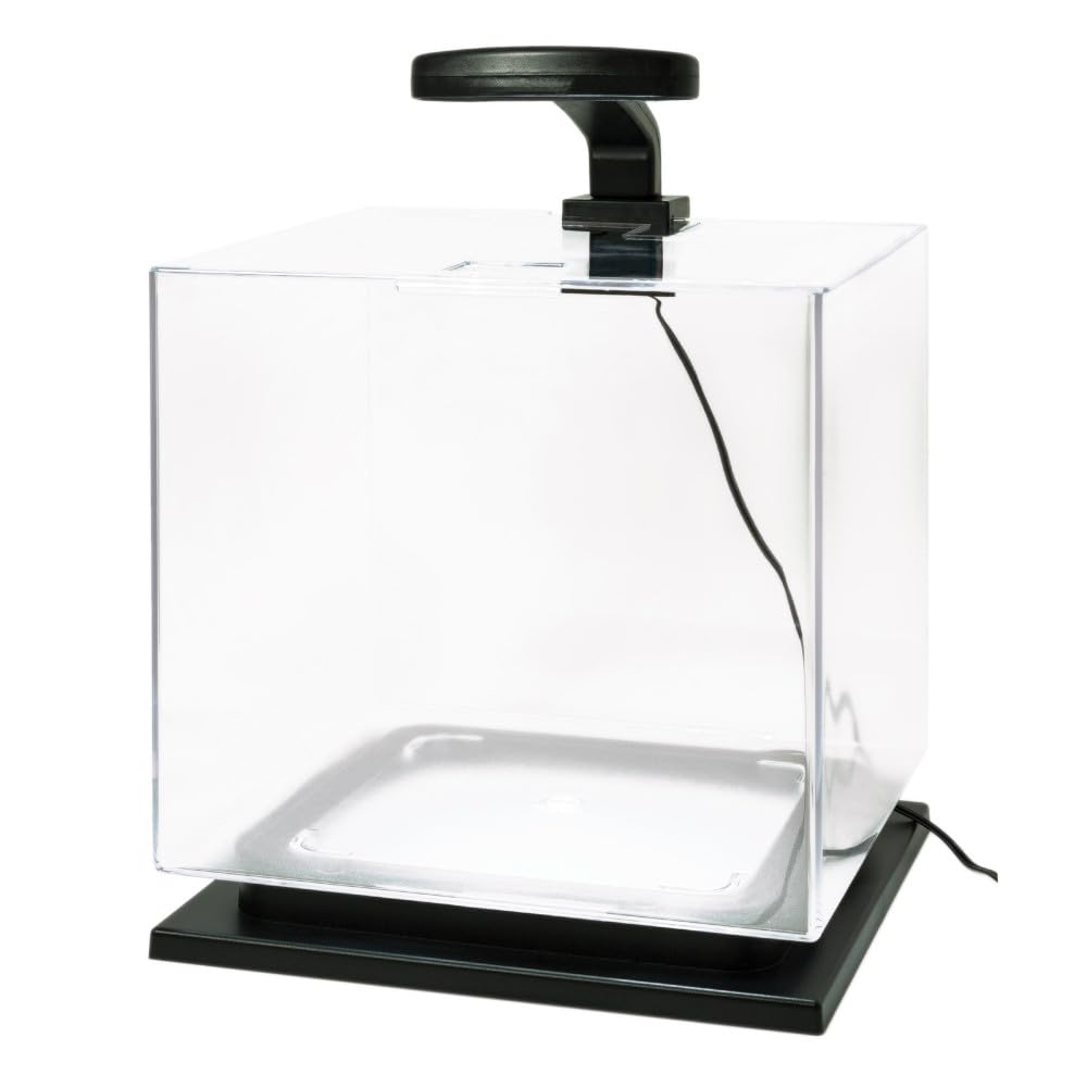 Tetra filtro Whisper mantiene el agua limpia para peces tropicales.