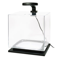 Tetra filtro Whisper mantiene el agua limpia para peces tropicales.