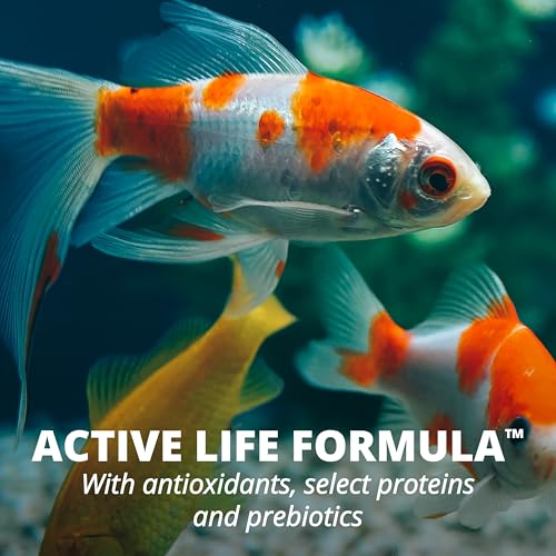 Copos Tetra ProCare: vitaminas y Omega-3 para resistencia