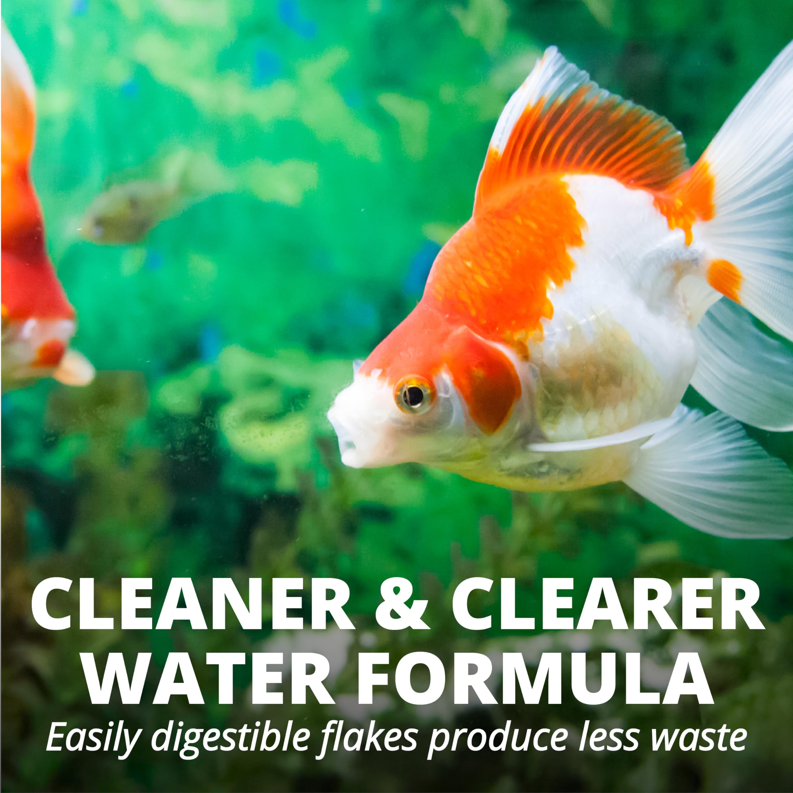 Tetra Goldfish Emballage 250 g, solution pratique pour l'alimentation régulière.