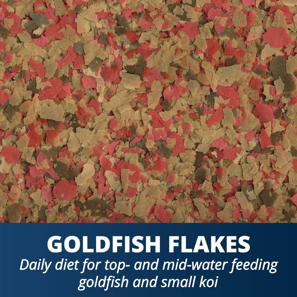 Tetra Goldfish Flocons couleur éclatante, renforçant la brillance naturelle des nageoires.