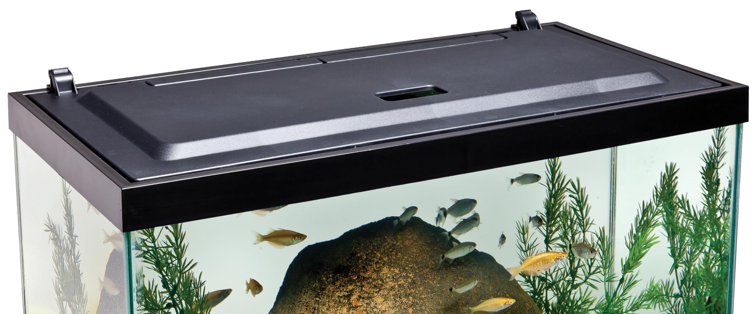 Tetra Hood 24x12 interior con luces que simulan luz diurna para peces.