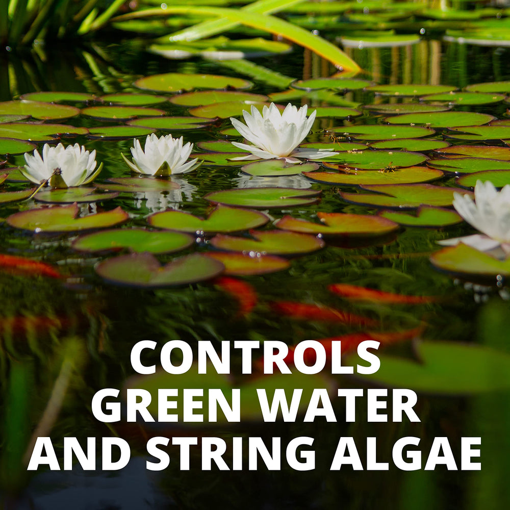 Tetra Pond AlgaeControl, combate algas filamentosas.