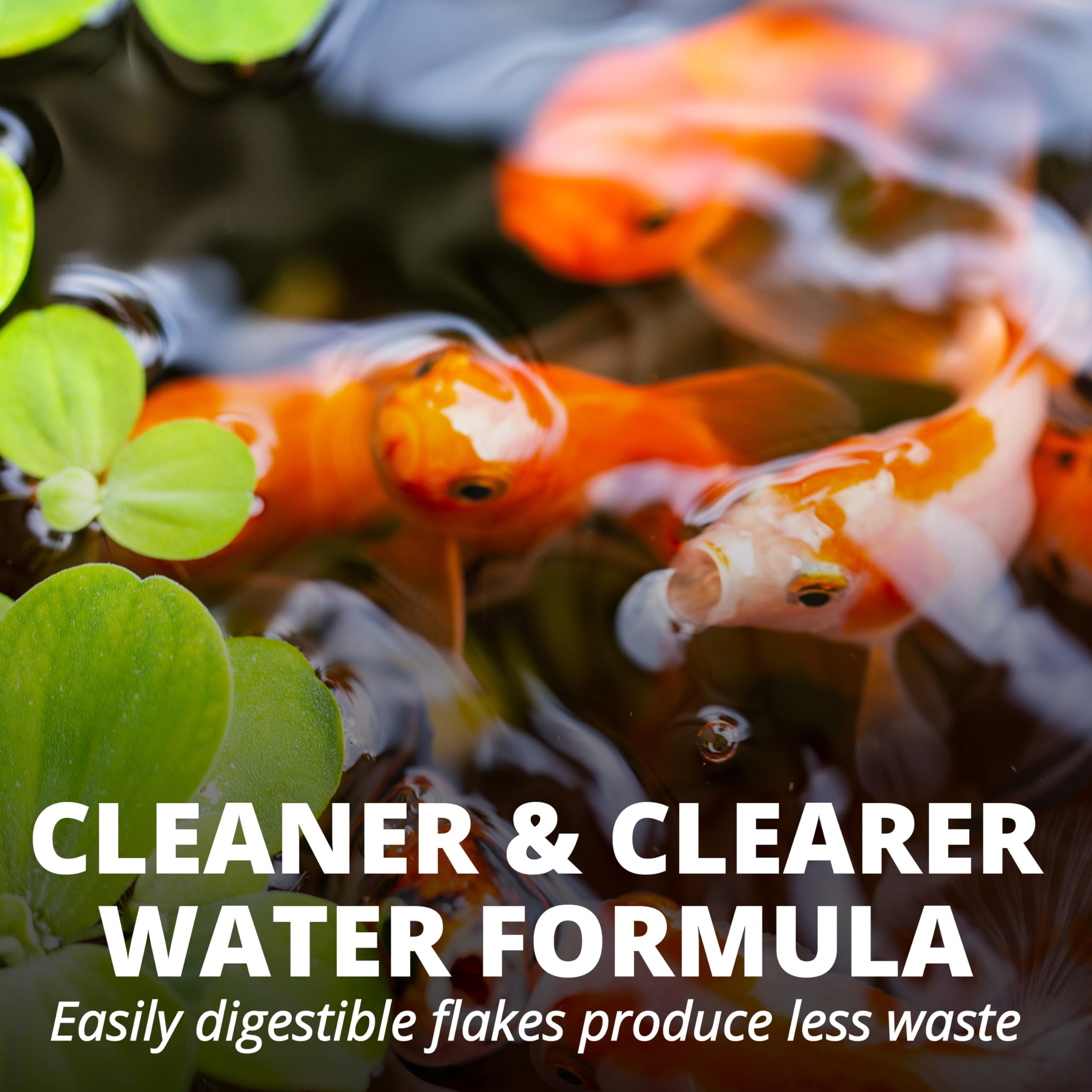 Tetra Pond Flakes: nutrición que apoya la vitalidad de los peces.