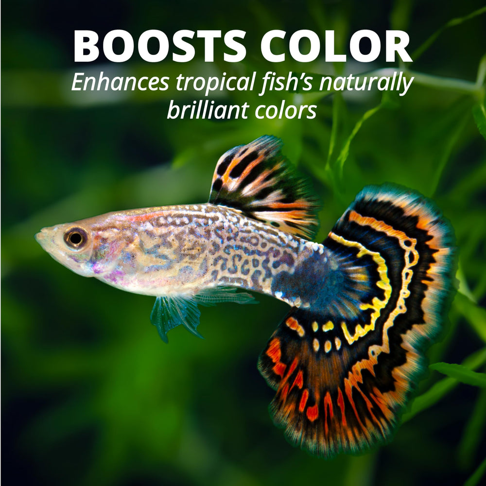 TetraPRO Color Crisps: conserva nutrientes sensibles gracias al proceso de baja temperatura.