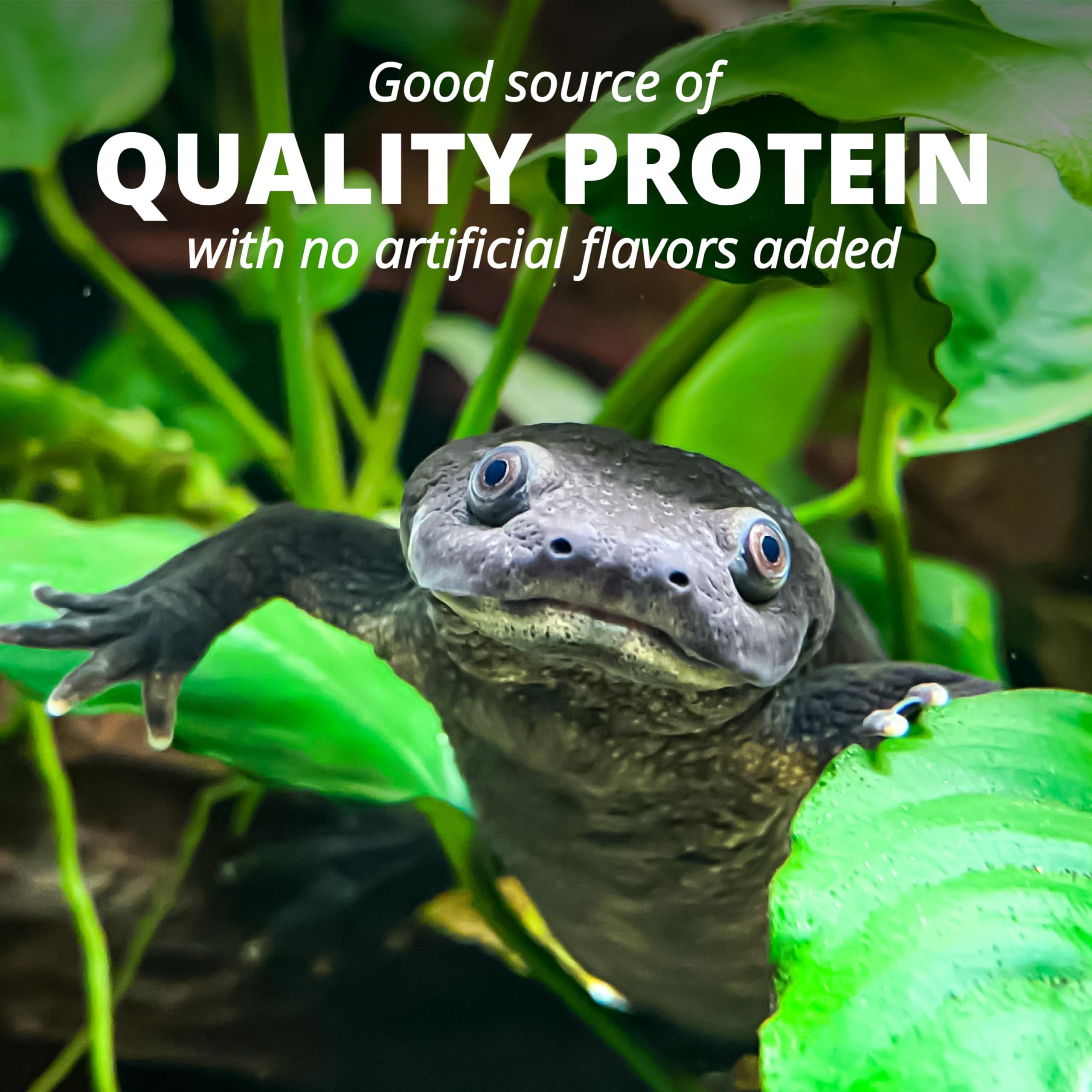 Tetra ReptoMin, palitos flotantes para uso diario, dosificación simple.