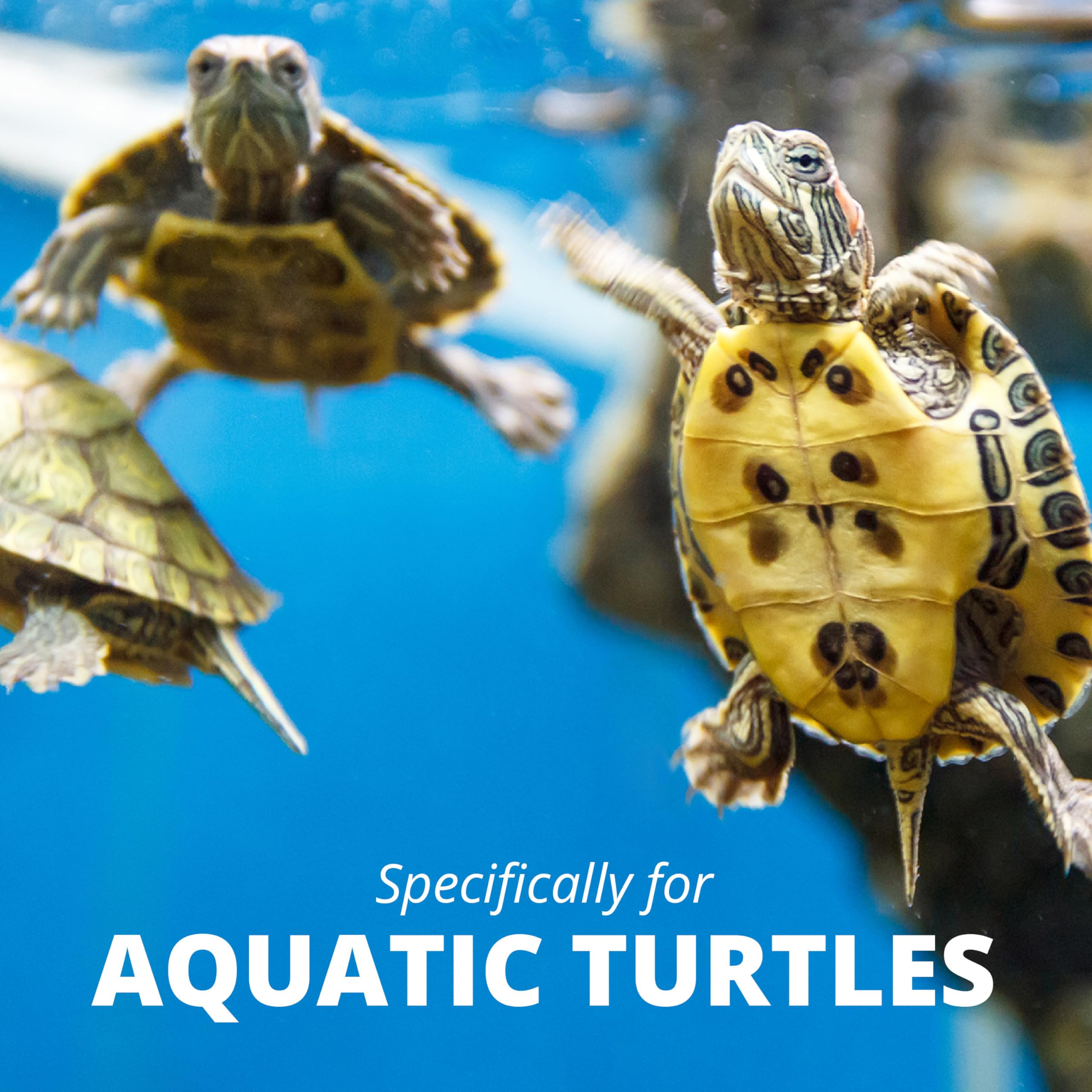 ReptoMin sin sabores artificiales, opción natural para tortugas.