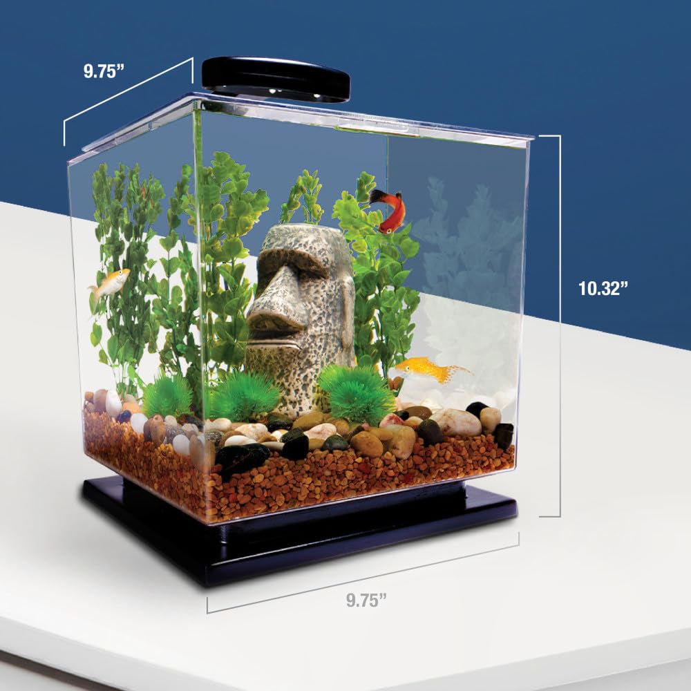 Tetra uso en cocina y dormitorio para un acuario discreto.