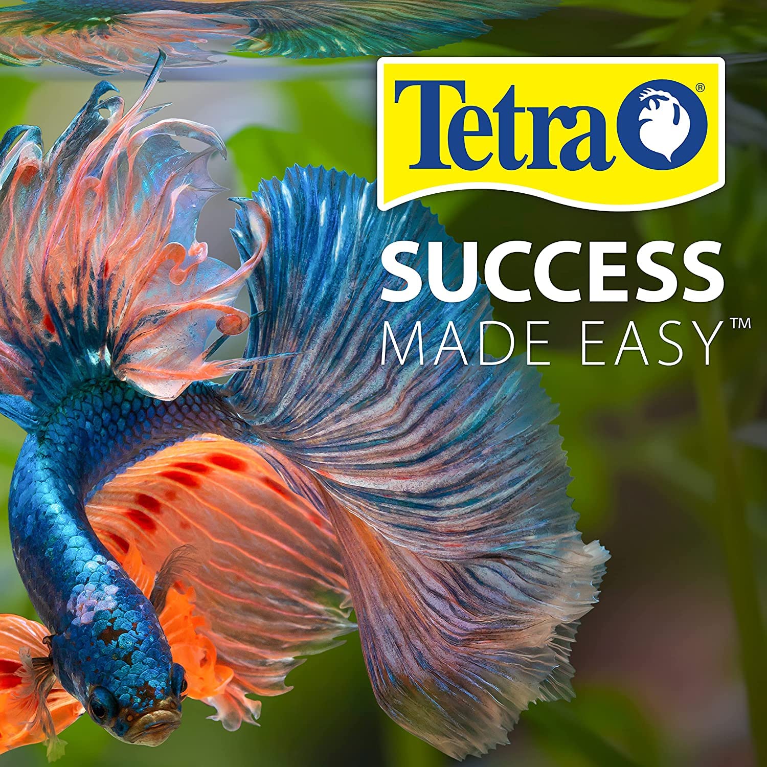 Acuario tropical con peces sanos gracias a Tetra Weekend