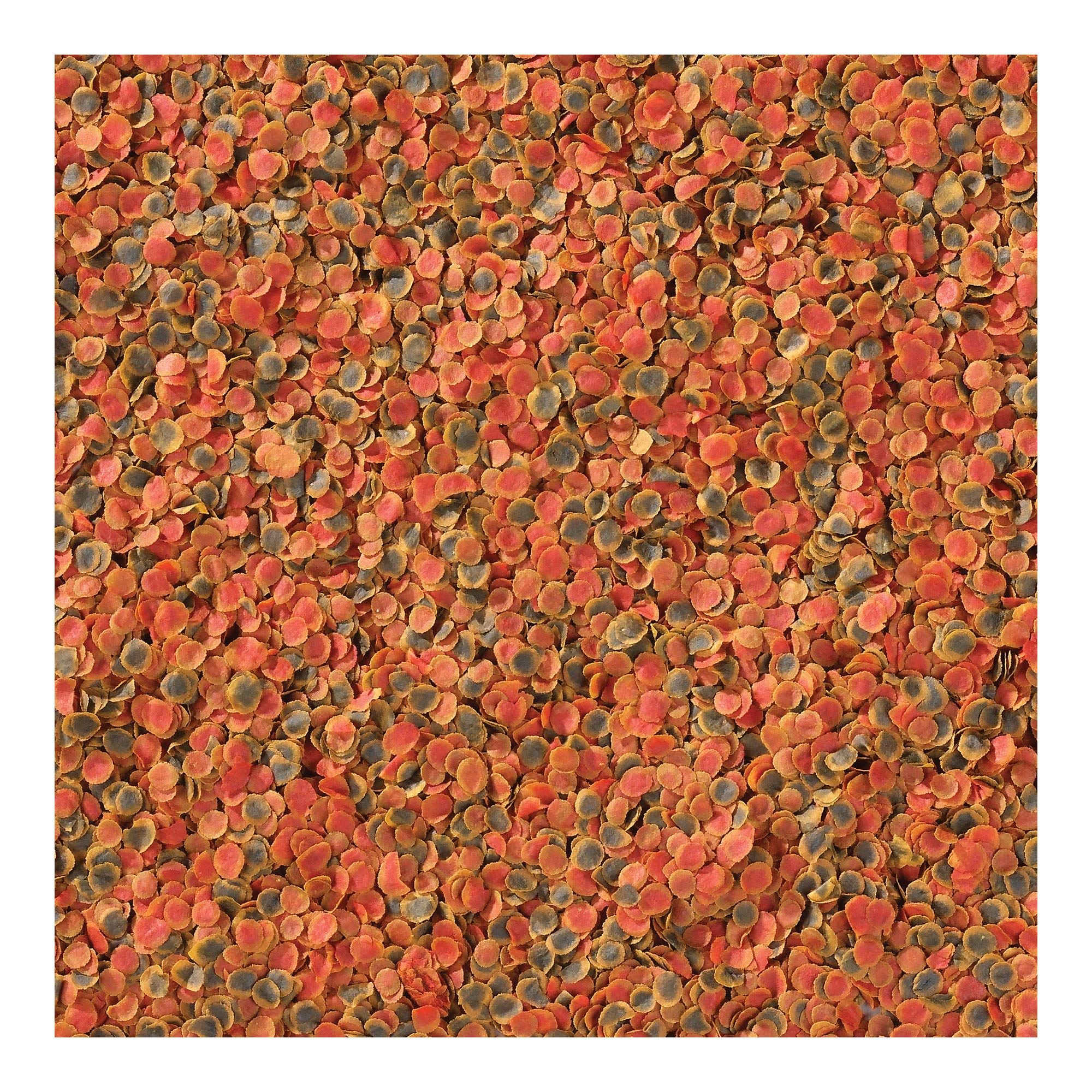 Complemento de camarones para variar textura y sabor en la alimentación.
