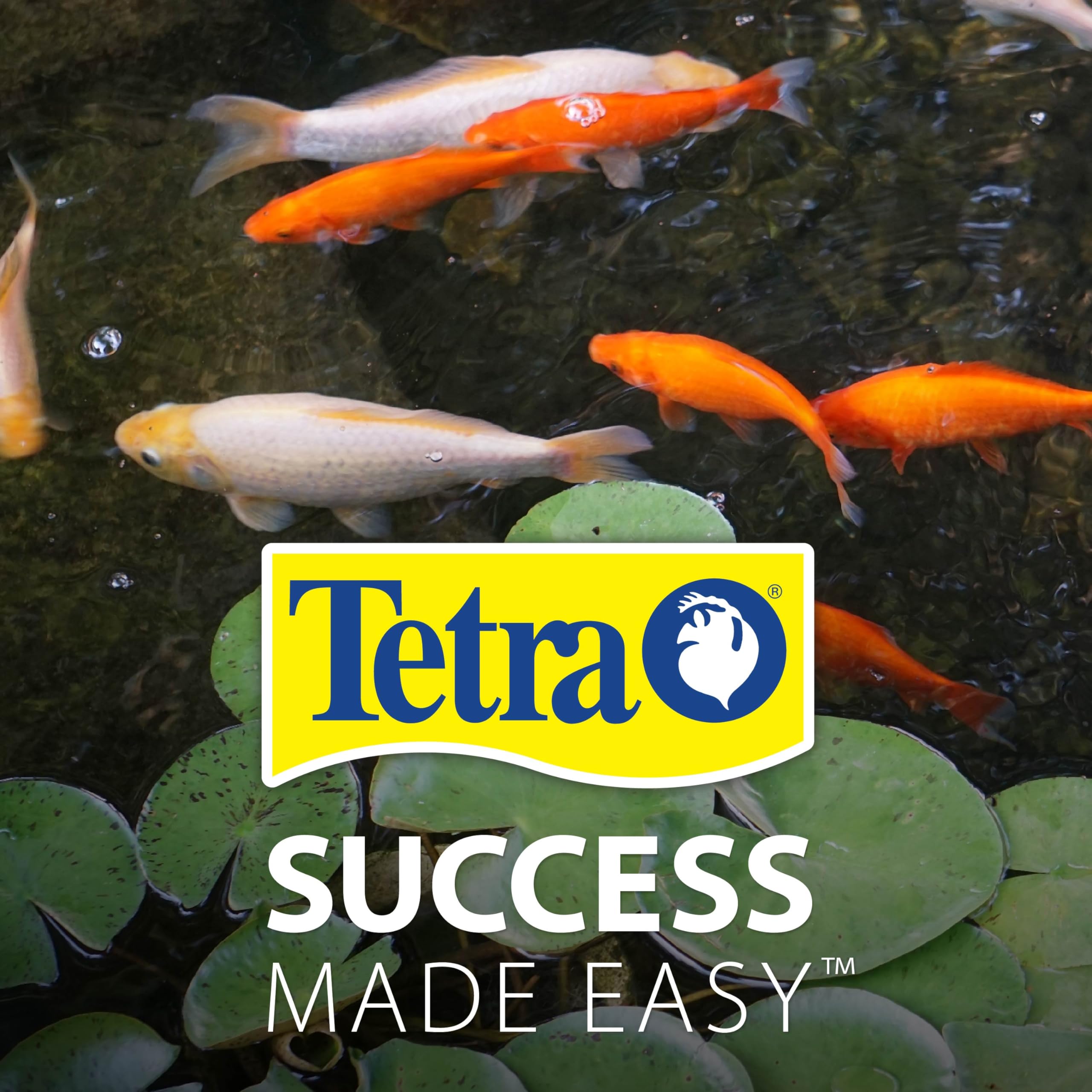 Confianza de marca tetrapond, soluciones para coloracion, digestibilidad y vitalidad en estanques.