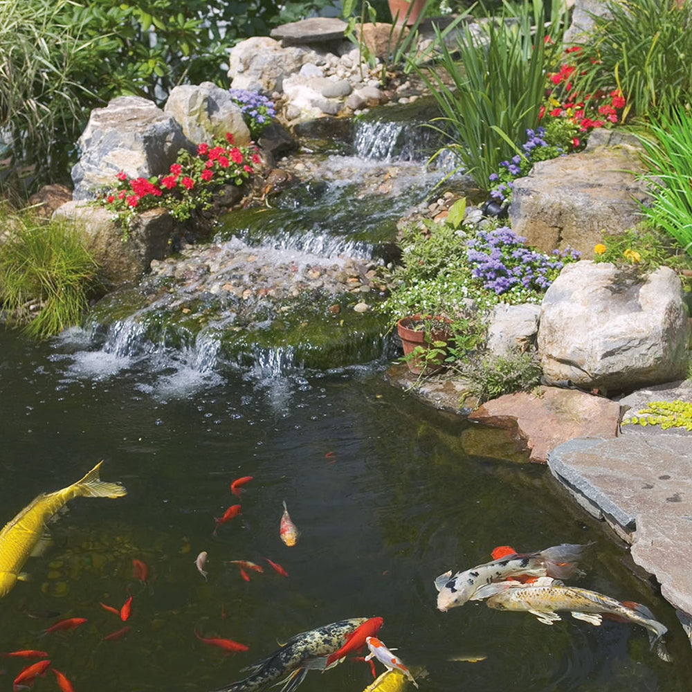 Tetrapond Koi Growth: ayuda a mantener agua clara gracias a su digestibilidad.