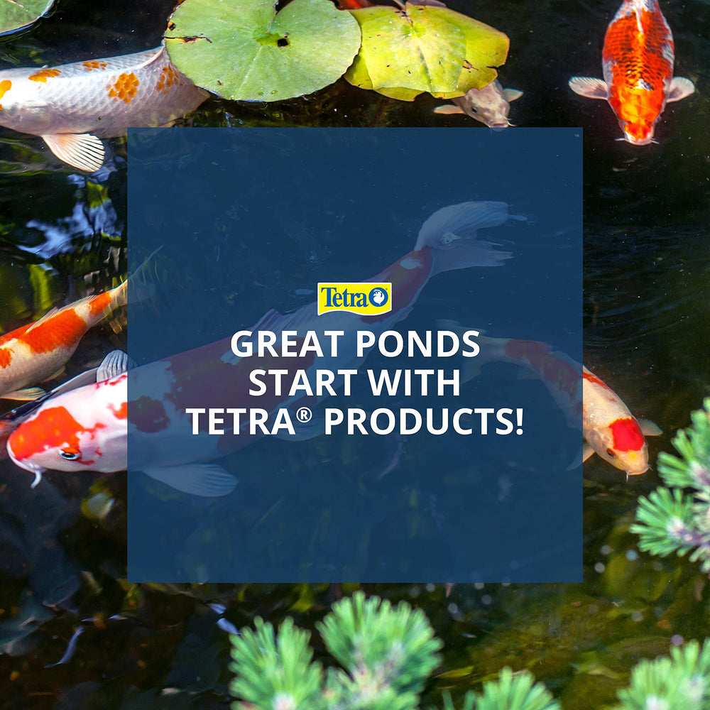 Tetrapond Koi Growth: palitos que se ablandan rapidamente para peces sin dientes.