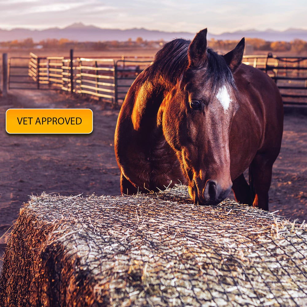 Texas Haynet: uso diario para caballos, alimentación pausada.