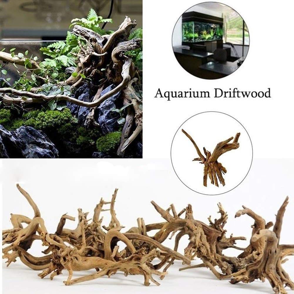 Tfwadmx Madera de deriva para terrario y acuario, diseño versátil.