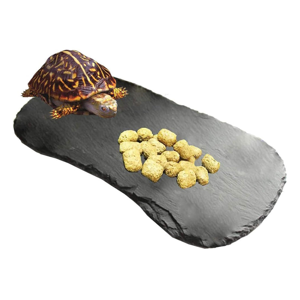 Tfwadmx plateforme-reptile baskine 11x5-5 pour repos au soleil.
