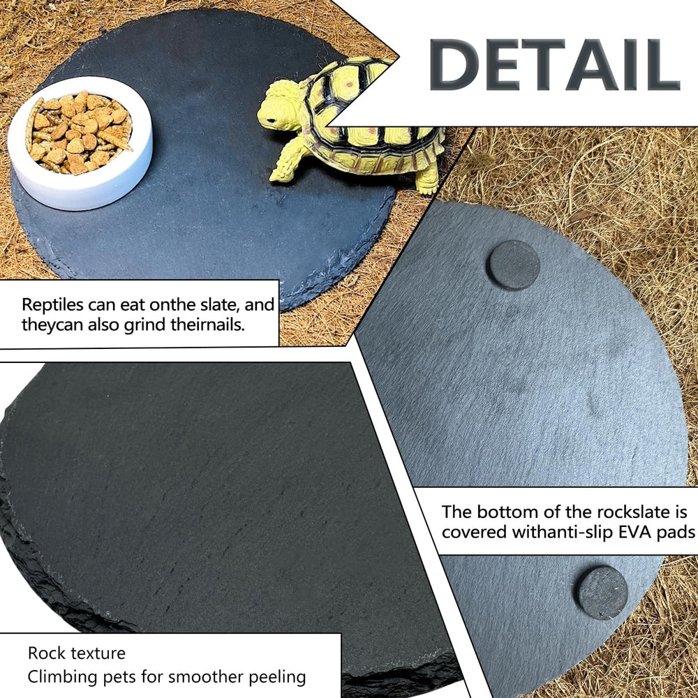 Tfwadmx plato de roca para dragon barbudo, superficie estable para tomar calor y comida.