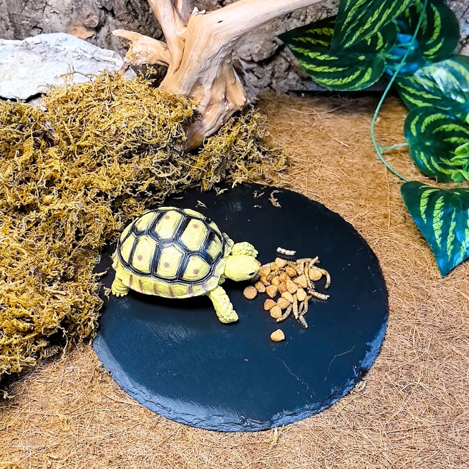 Tfwadmx plato de roca para serpiente, punto de descanso seguro y fácil limpieza.