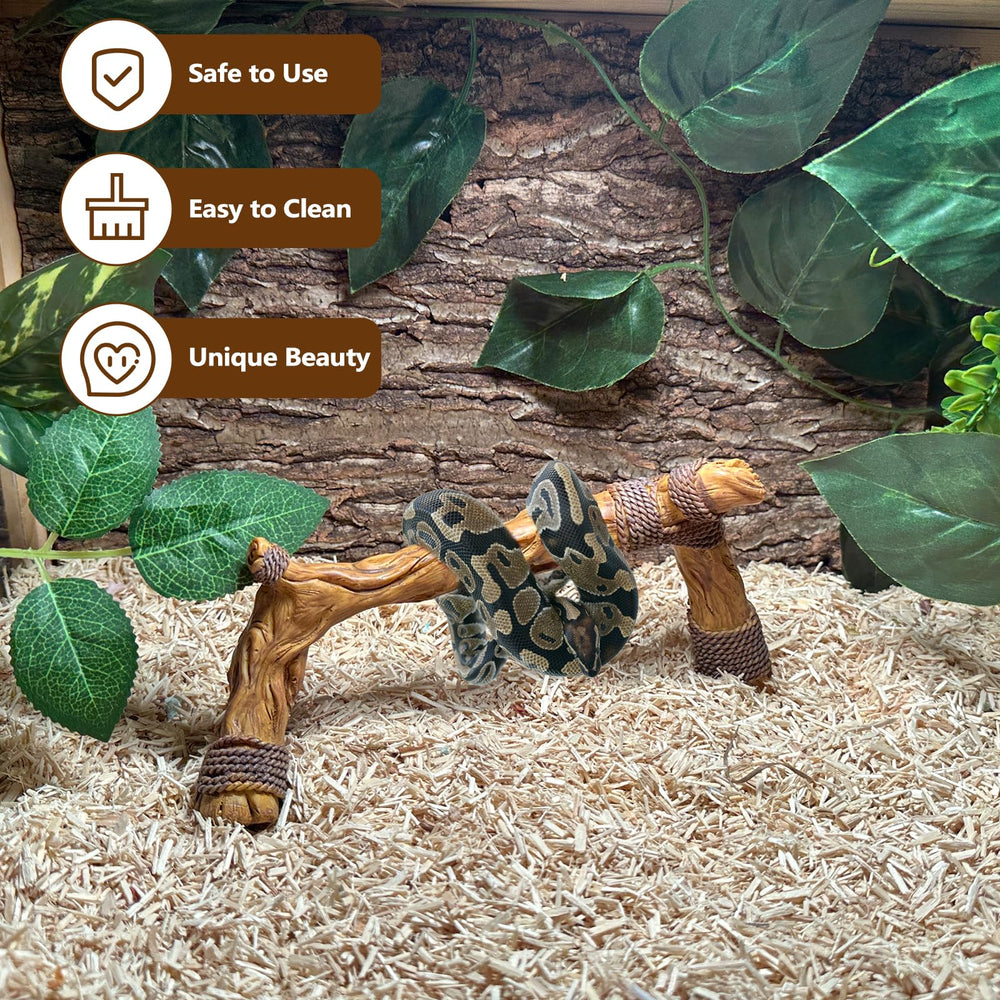 Rama pequeña 9.5x3.5x4.3 pulgadas para reptiles pequeños