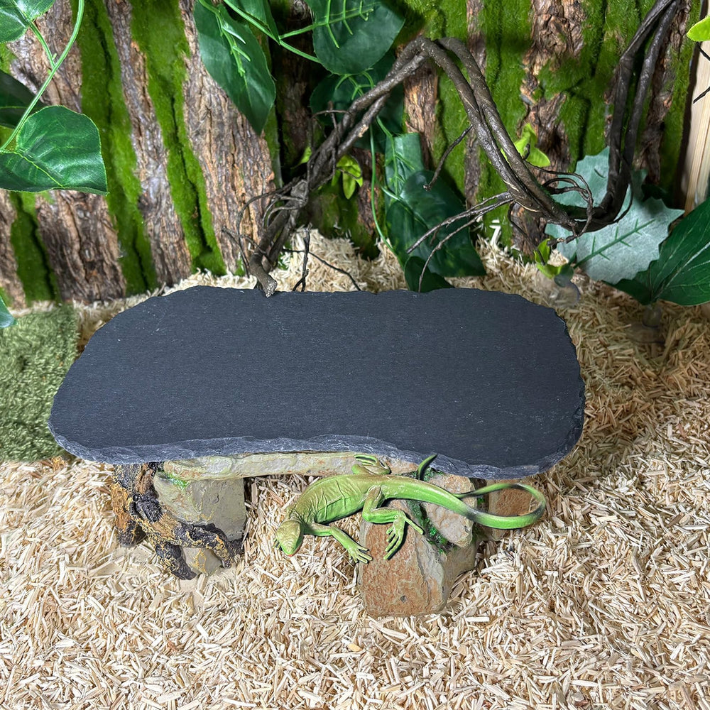 Tfwadmx surface-naturelle encourage repos et comportement naturel.