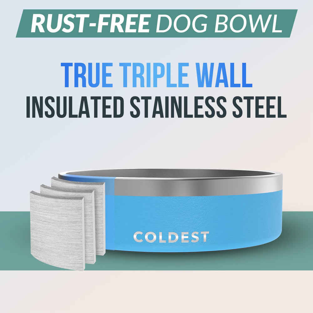 The Coldest Water cuenco anti derrame con base antideslizante