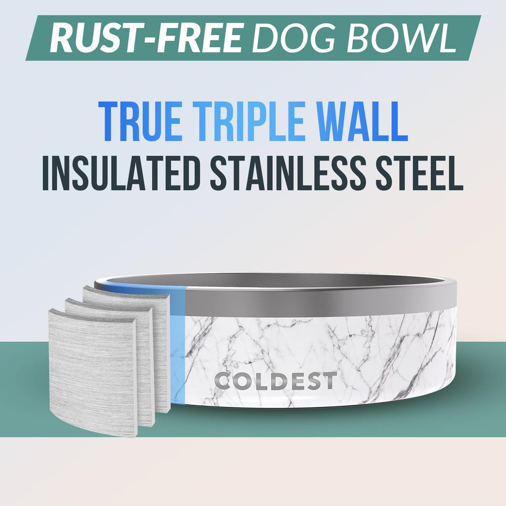 The Coldest Water cuenco para perro con base antideslizante para evitar derrames