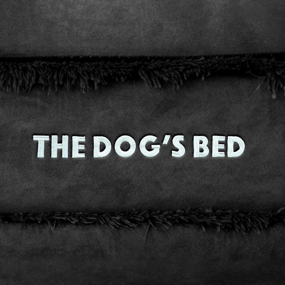 The Dog's Balls diseño de acceso plano facilita entrar y salir