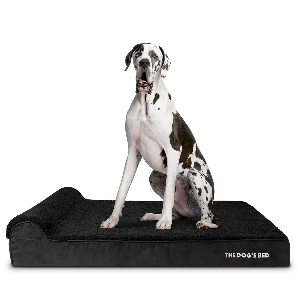 The Dog's Balls Bed tamaño XXL ideal para razas gigantes.