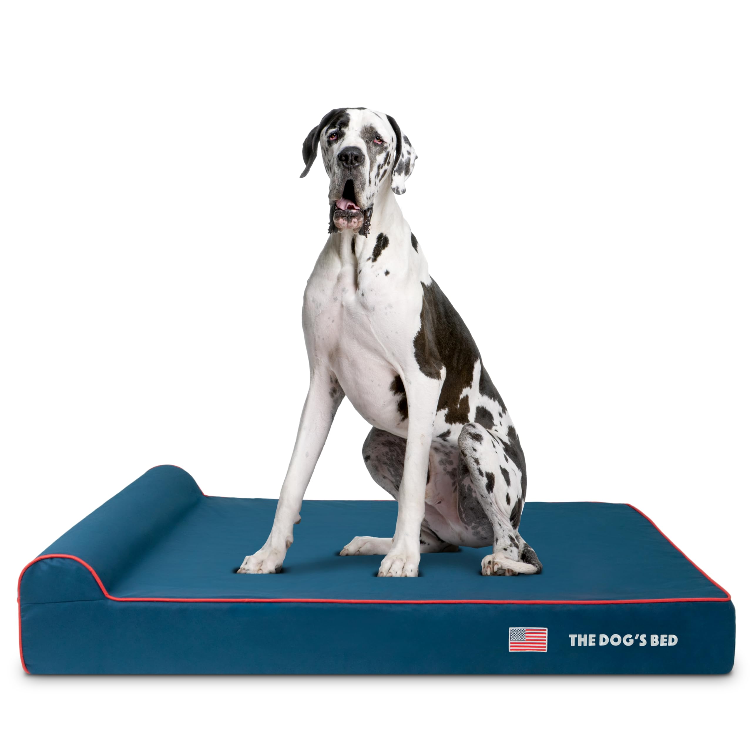 The Dog's Balls cama-ortopedica para perros grandes con reposacabezas ofrece soporte cómodo.
