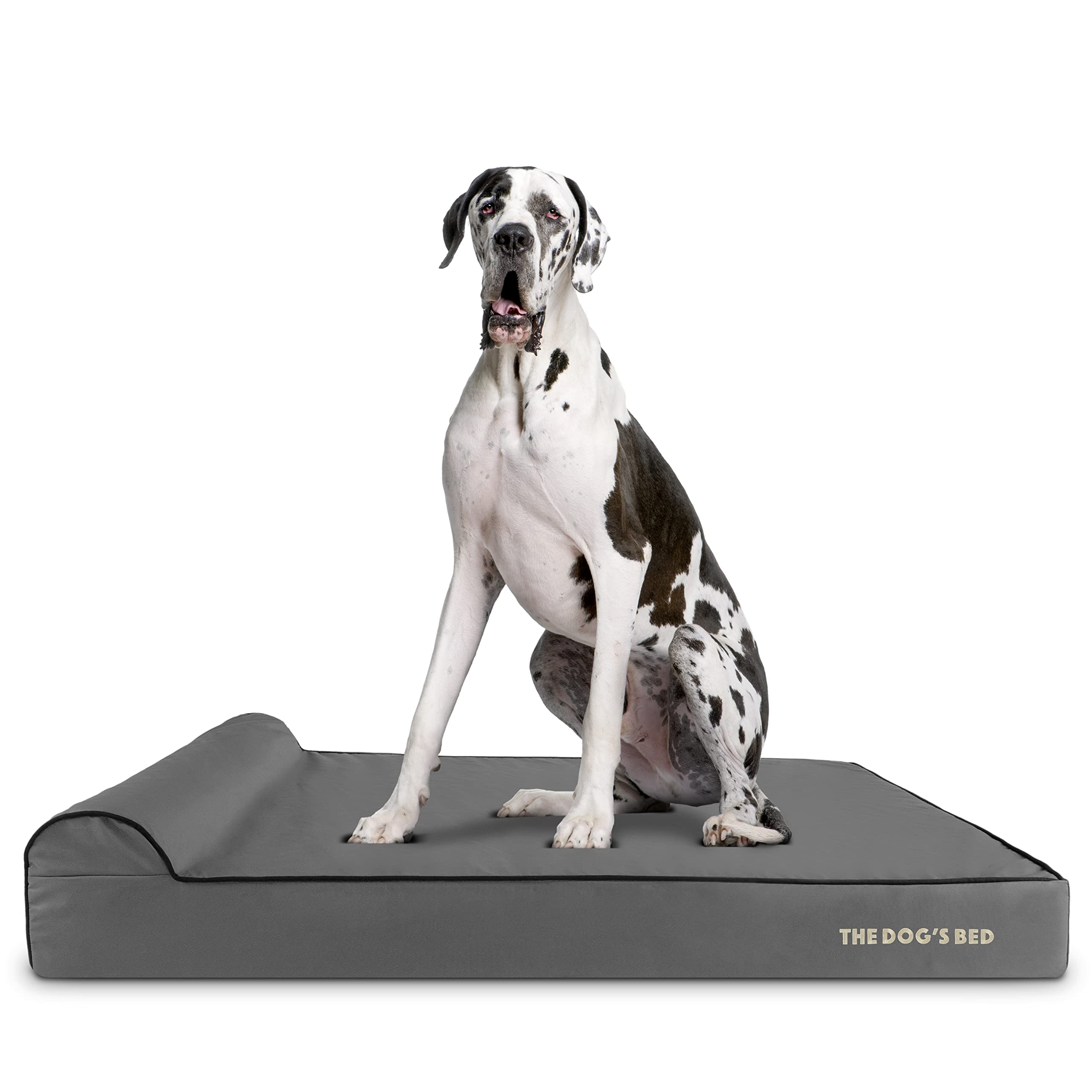 The Dog's Balls cama ortopédica XXL con espuma de memoria para perros grandes