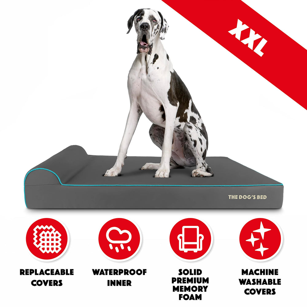 La espuma de memoria The Dog's Balls mantiene forma para razas gigantes.