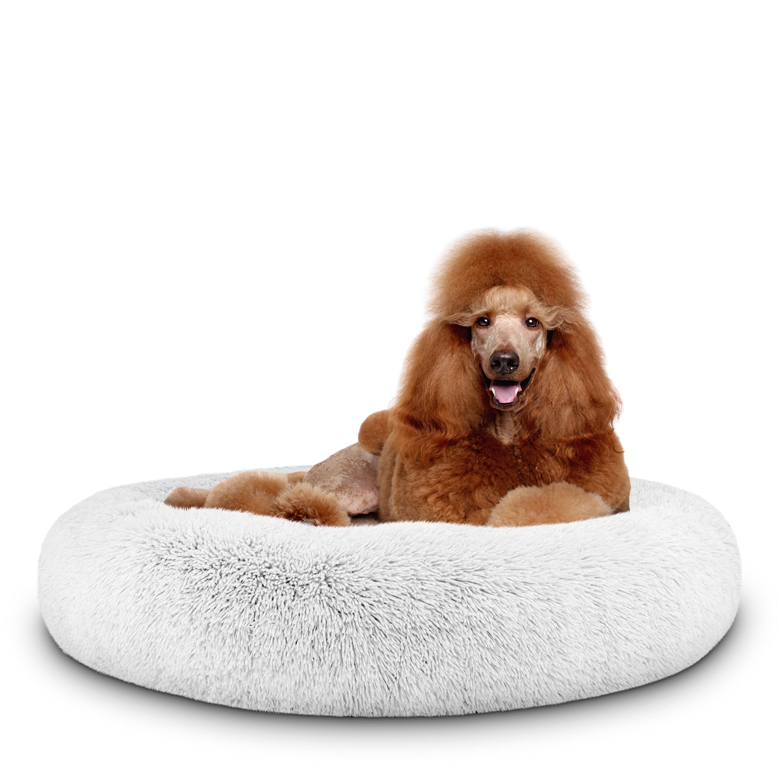 The Dog’s Balls cama rosquilla apoyo elevado ofrece contención suave para dormir.