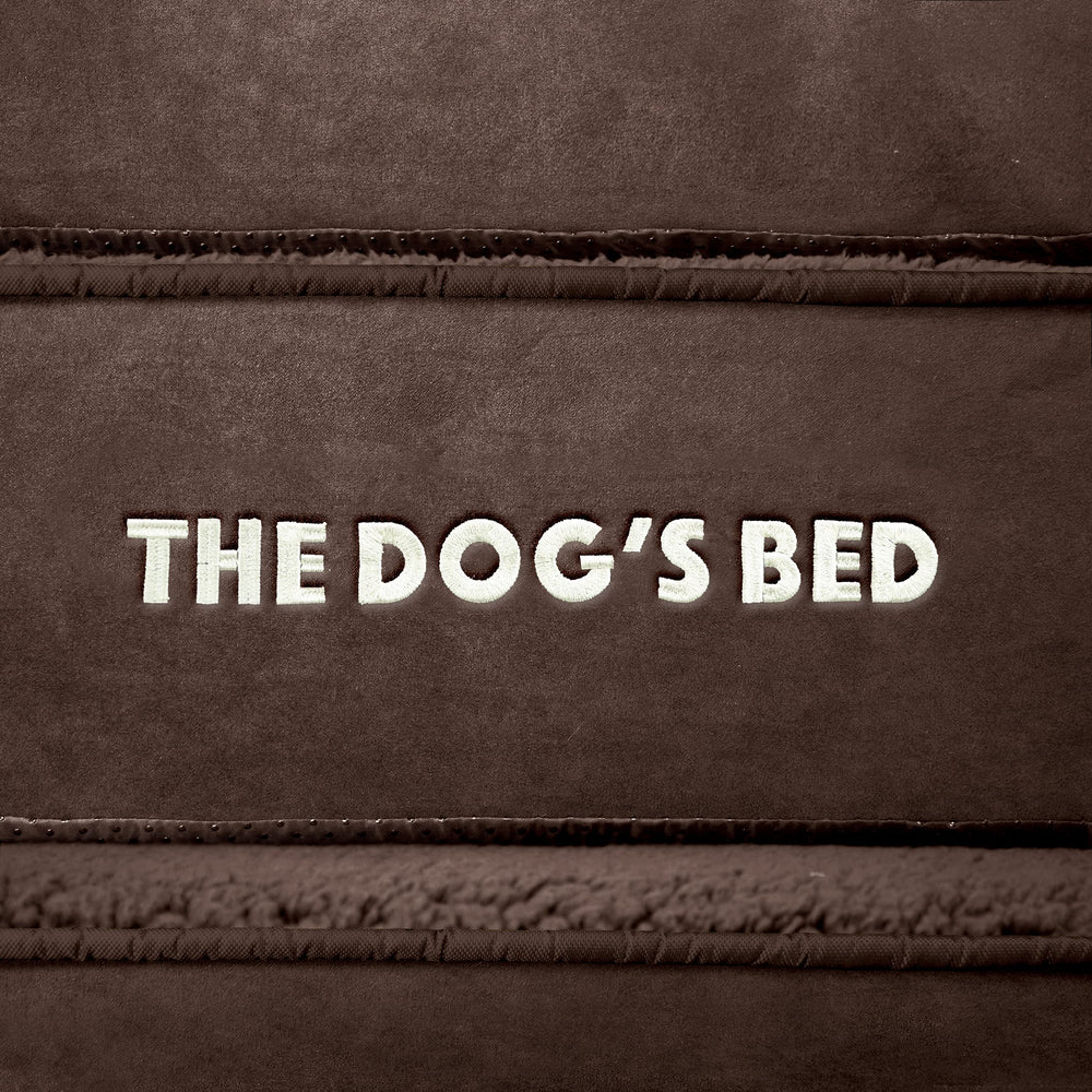 El exterior resistente de The Dog's Balls soporta uso diario.