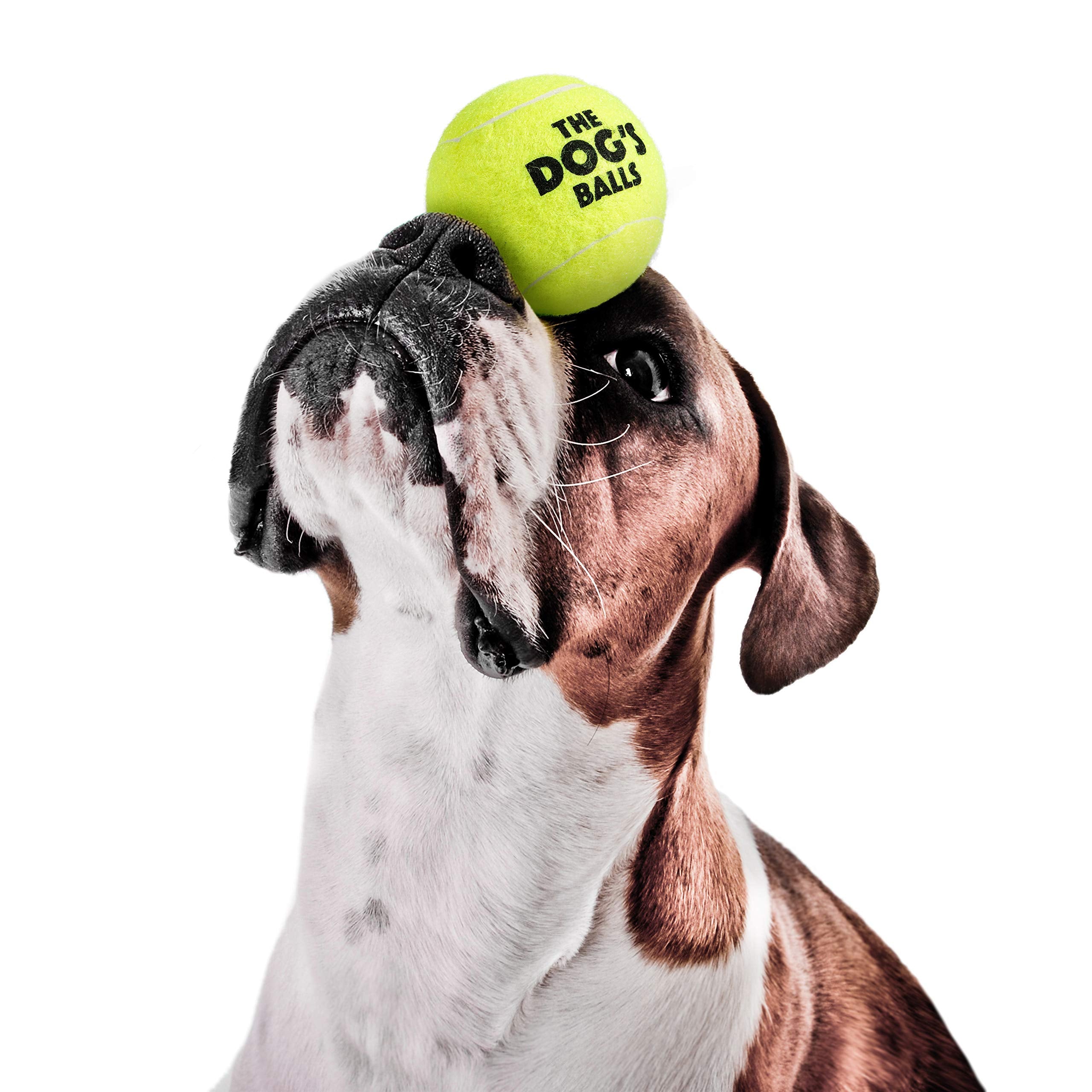 The Dog's Balls: fieltro no abrasivo cuida dientes