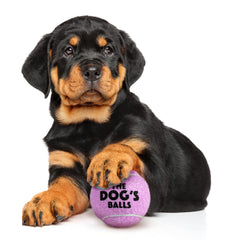 The Dog's Balls núcleo de goma resistente para juego activo.