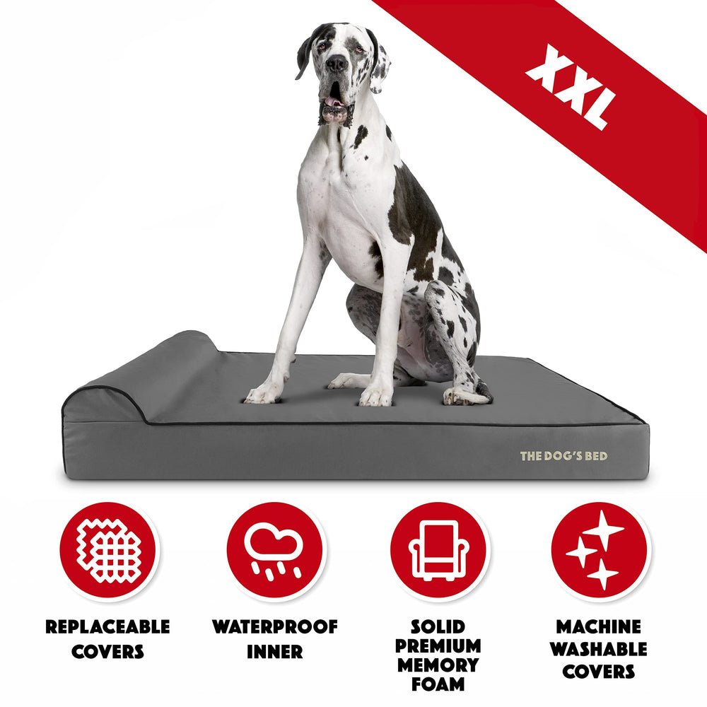 The Dog's Balls tejido Oxford exterior resistente para uso diario