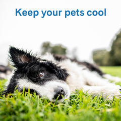 The Green Pet Shop Cool Pet Pad gel patentado sin agua para mascotas