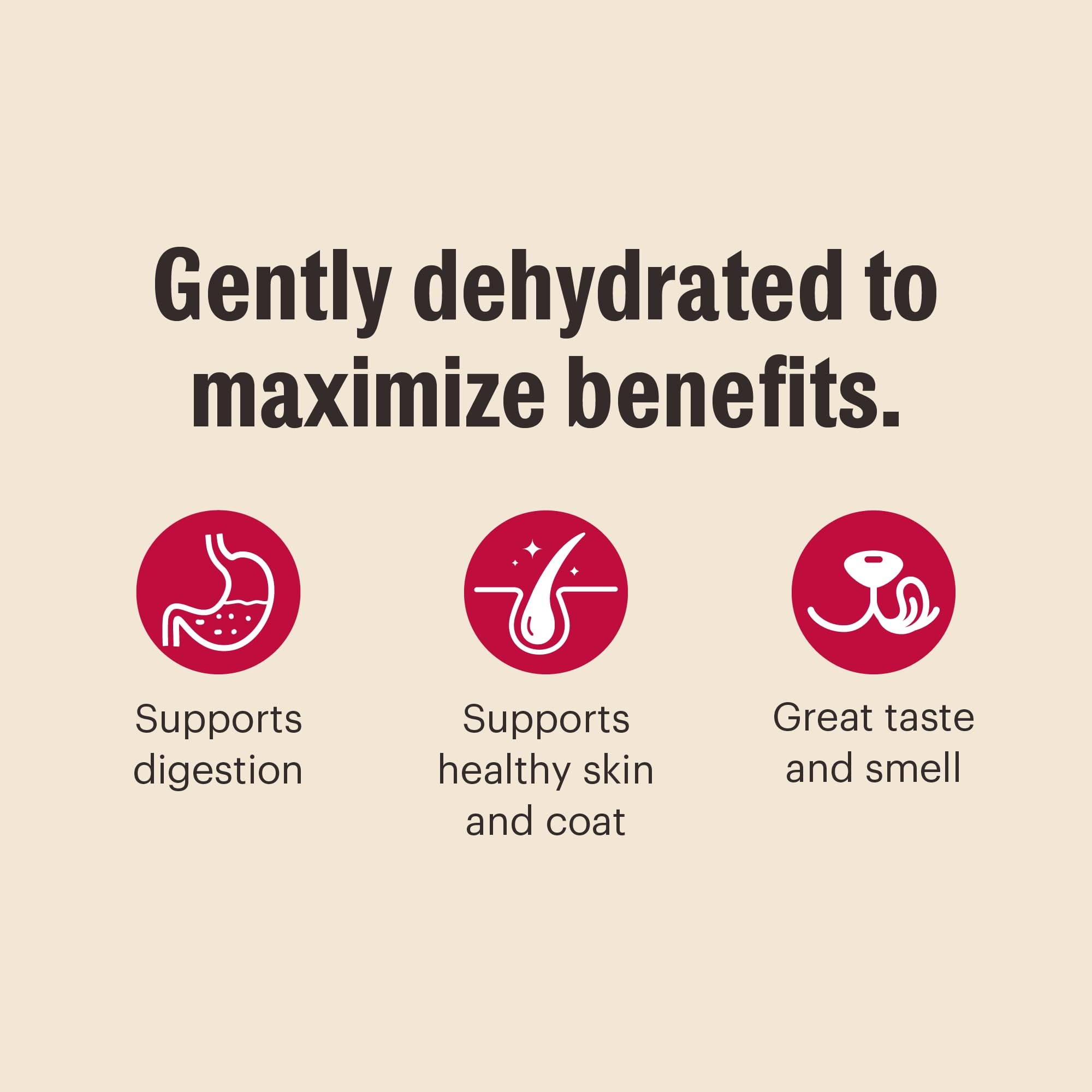 The Honest Kitchen: compromiso sostenible y responsabilidad social, marca con impacto positivo.