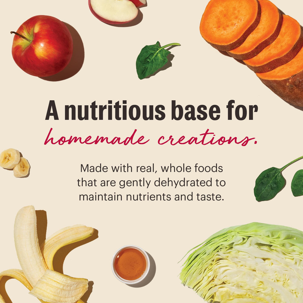 The Honest Kitchen nutrición equilibrada con frutas y verduras para energía diaria