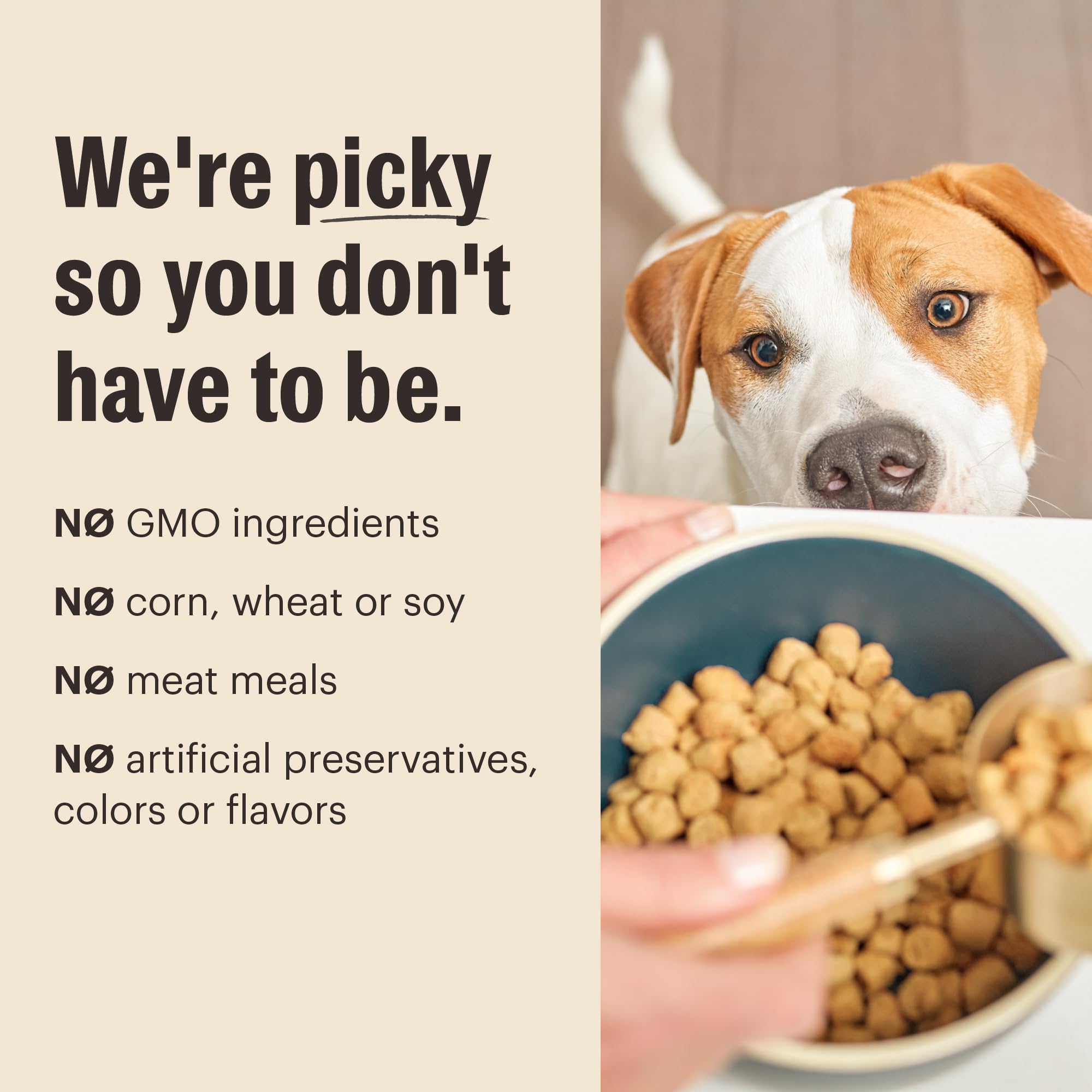 Envase de 20 libras para familias que alimentan varias mascotas.