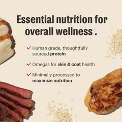 The Honest Kitchen Conjuntos Esenciales, para perros adultos, soporte nutritivo para todas las razas.