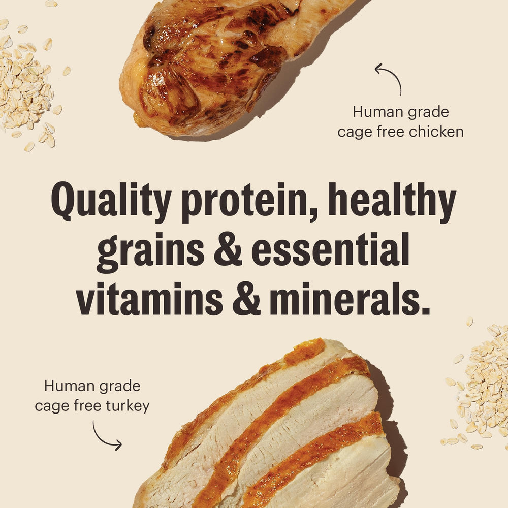 The Honest Kitchen Conjuntos Esenciales, sin rellenos ni ingredientes modificados, opción más natural.