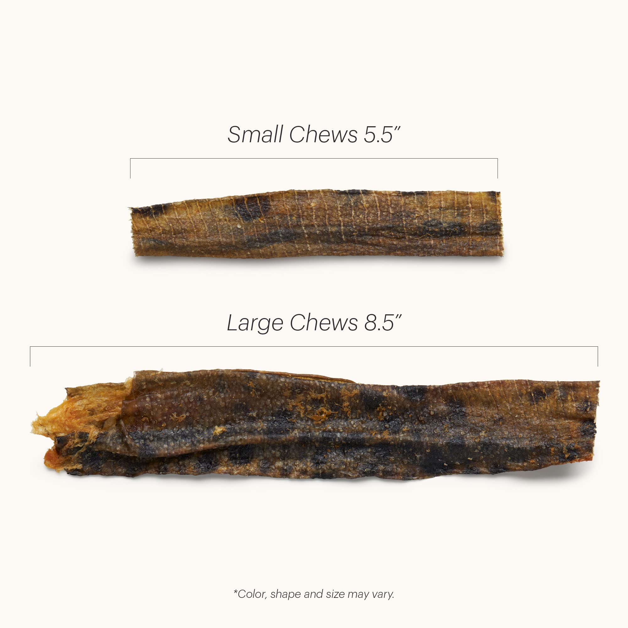 El empaque sostenible de The Honest Kitchen Ocean Chews para uso responsable