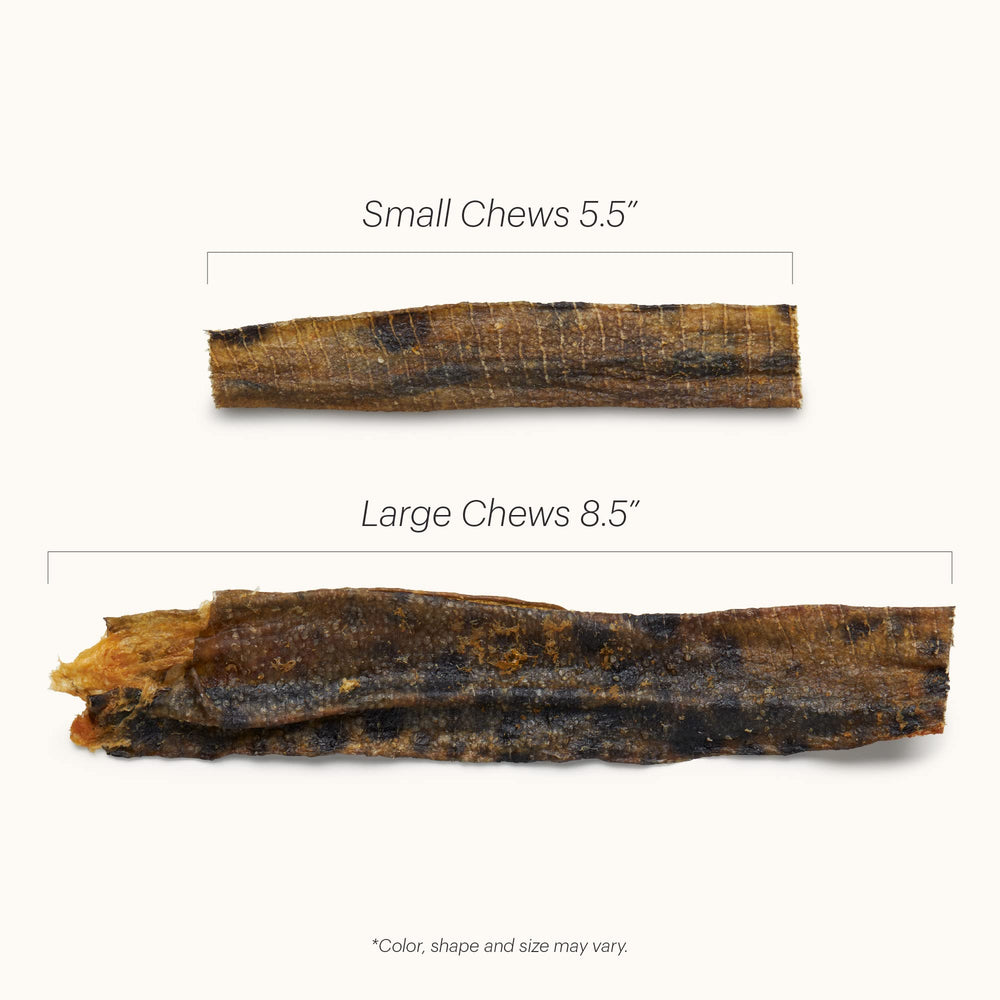El empaque sostenible de The Honest Kitchen Ocean Chews para uso responsable